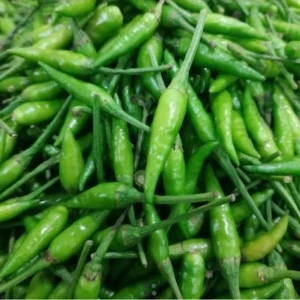 Cabe rawit (cengek)