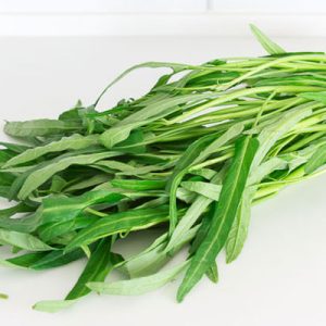 kangkung