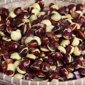 Jengkol